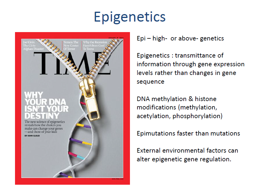 research articles about epigenetics